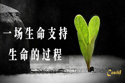 学员分享 | 来练：一场生命支持生命的过程