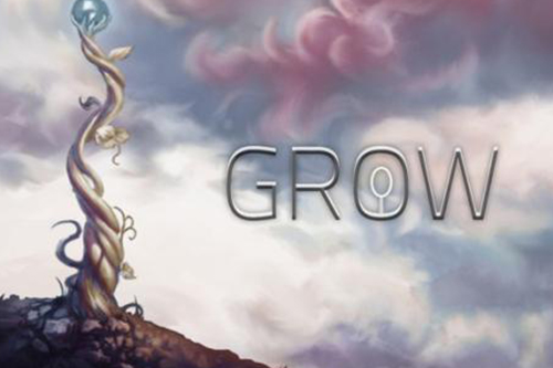 GROW模型中每个模块的样板问题