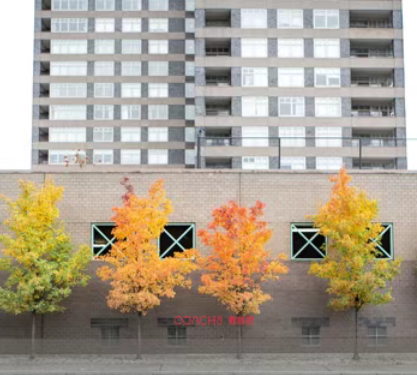 团队教练必备：意识五阶段，教练读懂客户的终极工具